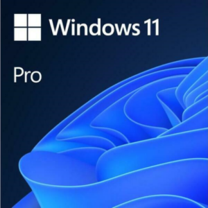 Win 11 Pro 64Bit Hungarian 1pk DSP OEI DVD