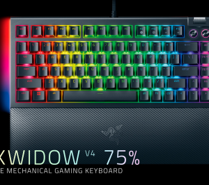 Razer BlackWidow V4 75% - US Layout
